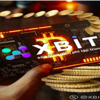 Doge đối mặt với cuộc khủng hoảng bán tháo, xếp hạng ứng dụng nền tảng giao dịch tiền điện tử XBIT đối mặc với thử thách