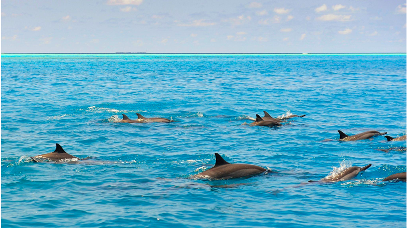 Sáu hòn đảo – Một tầm nhìn: SIX & SIX PRIVATE ISLANDS công bố kế hoạch tái định hình thị trường bất động sản nghỉ dưỡng cao cấp tại Maldives