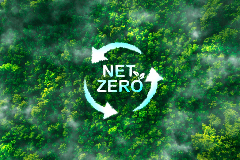 Hướng tới Net Zero: Khi công trình xanh bắt đầu từ khâu thiết kế